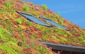 Monken Hadley living roof systems